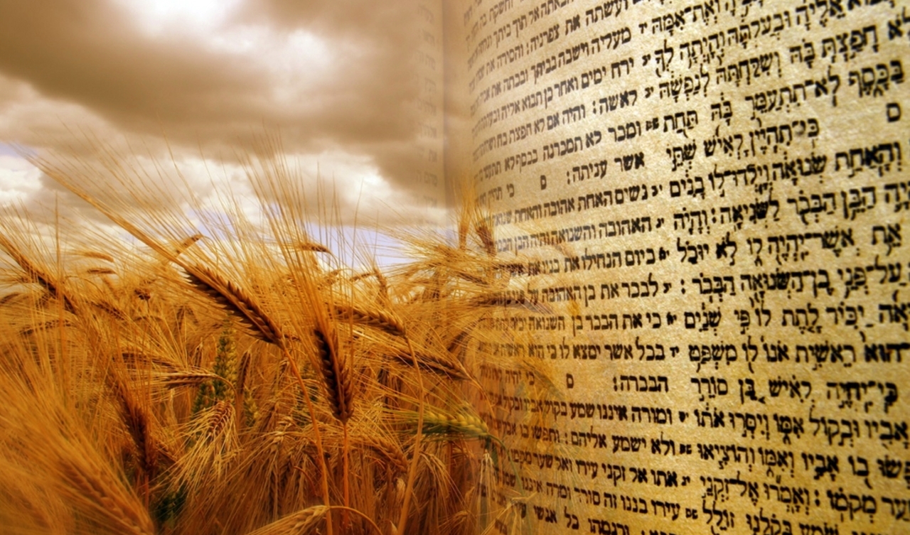 Евреи Самарской области отмечают праздник Шавуот
