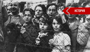 Неделя памяти жертв Холокоста 2023: не забывать о трагедии. Часть 2