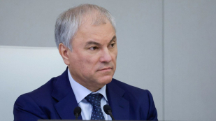 Вячеслав Володин подвёл первые итоги действия закона о защите русского языка