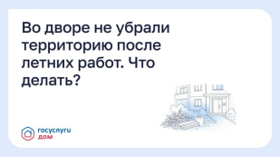 Во дворе не убрали территорию после летних работ. Что делать? Во дворе не убрали территорию после летних работ. Что делать?