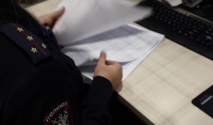 МВД России расширяет сеть пунктов миграционного контроля