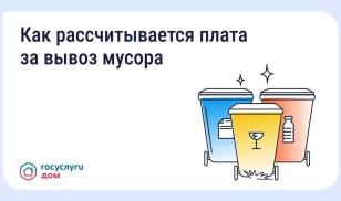 Разная плата за вывоз мусора в соседних домах — это нормально Разная плата за вывоз мусора в соседних домах — это нормально