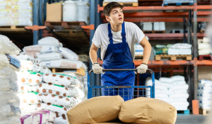 Новый законопроект обяжет трудовых мигрантов работать у одного работодателя в течение первого года в России