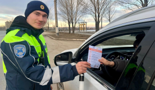 Операция «Миграция» – почему в Сызрани несколько дней массово тормозили машины Операция «Миграция» – почему в Сызрани несколько дней массово тормозили машины