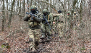 Госдума приняла поправки о защите иностранцев, воевавших в составе ВС России