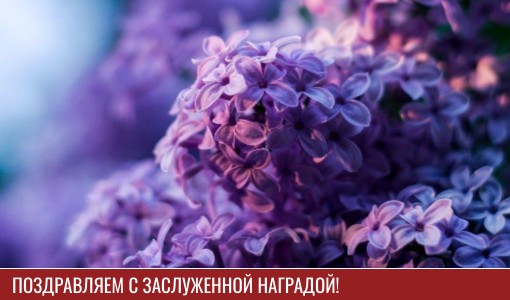 Поздравляем с заслуженной наградой! Поздравляем с заслуженной наградой!