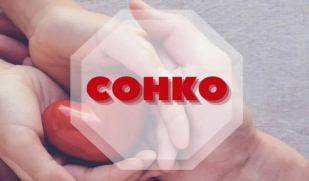 Вниманию социально ориентированных некоммерческих организаций: объявлен конкурс на получение грантов из бюджета городского округа Самара