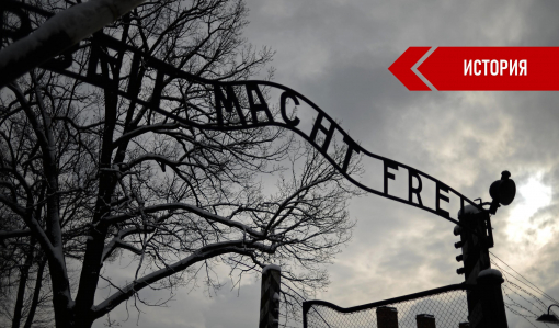 Неделя памяти жертв Холокоста 2023: не забывать о трагедии. Часть 1