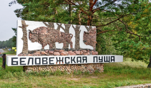 «Я к тебе прилетаю, Беловежская пуща»